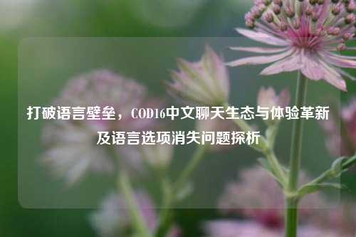 打破语言壁垒,COD16中文聊天生态与体验革新及语言选项消失问题探析