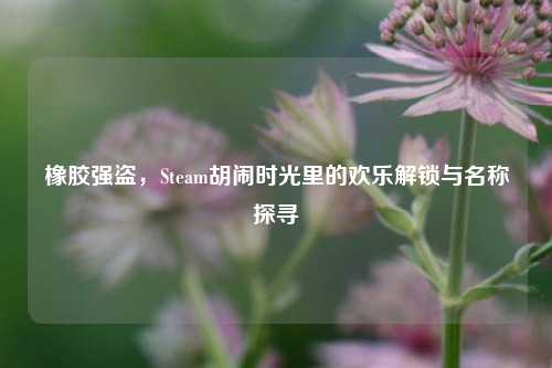 橡胶强盗，Steam胡闹时光里的欢乐解锁与名称探寻