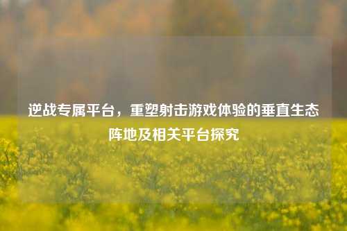 逆战专属平台，重塑射击游戏体验的垂直生态阵地及相关平台探究