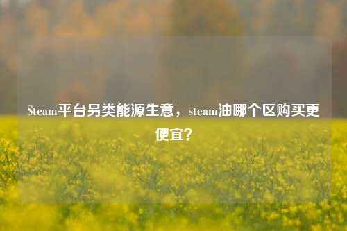 Steam平台另类能源生意，steam油哪个区购买更便宜？