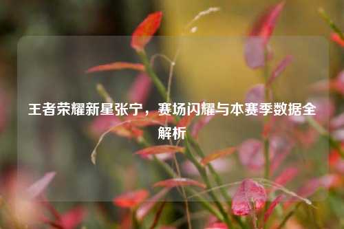 王者荣耀新星张宁,赛场闪耀与本赛季数据全解析