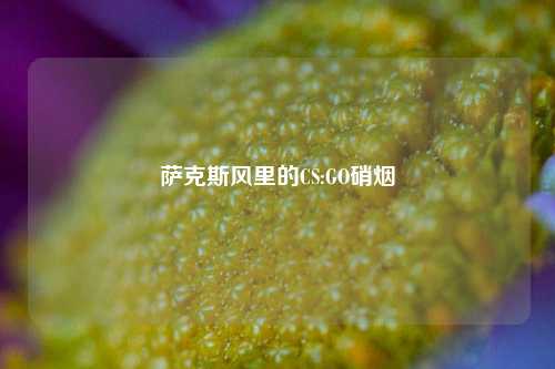 萨克斯风里的CS:GO硝烟