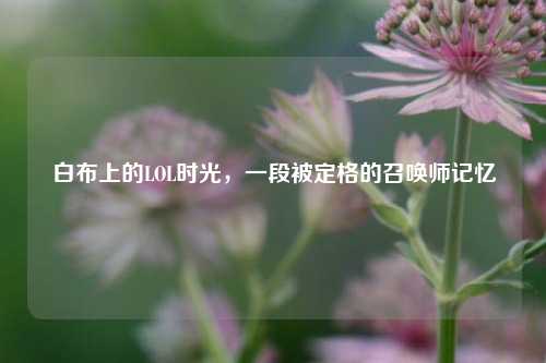 白布上的LOL时光，一段被定格的召唤师记忆