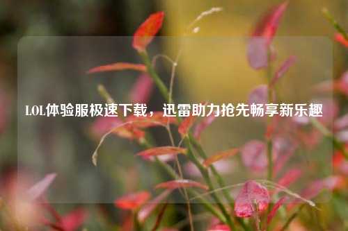 LOL体验服极速下载，迅雷助力抢先畅享新乐趣