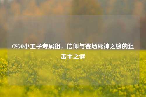 CSGO小王子专属狙，信仰与赛场死神之镰的狙击手之谜