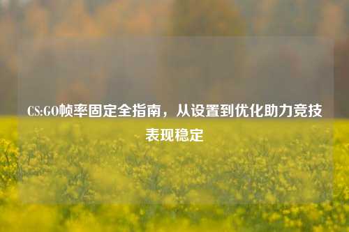 CS:GO帧率固定全指南,从设置到优化助力竞技表现稳定