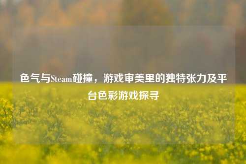 色气与Steam碰撞，游戏审美里的独特张力及平台色彩游戏探寻