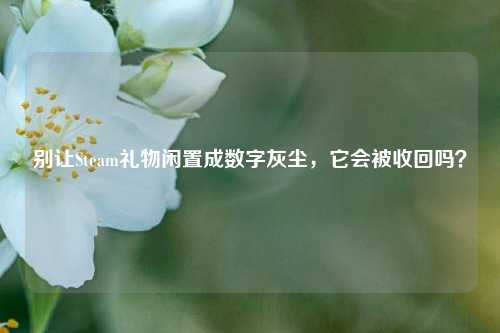 别让Steam礼物闲置成数字灰尘，它会被收回吗？