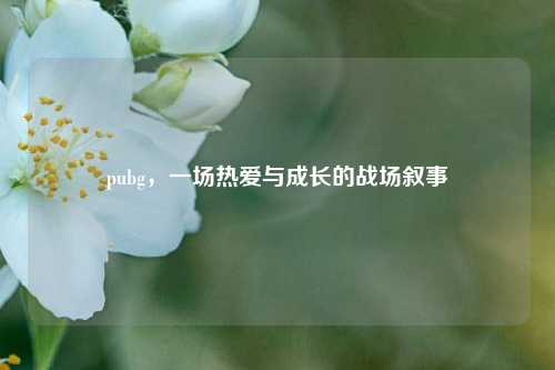 pubg，一场热爱与成长的战场叙事