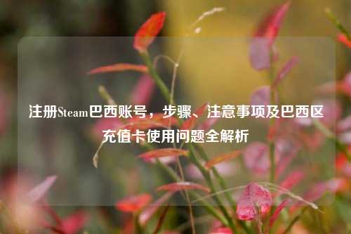 注册Steam巴西账号，步骤、注意事项及巴西区充值卡使用问题全解析