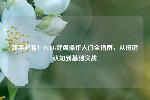 新手必看！PUBG键盘操作入门全指南，从按键认知到基础实战