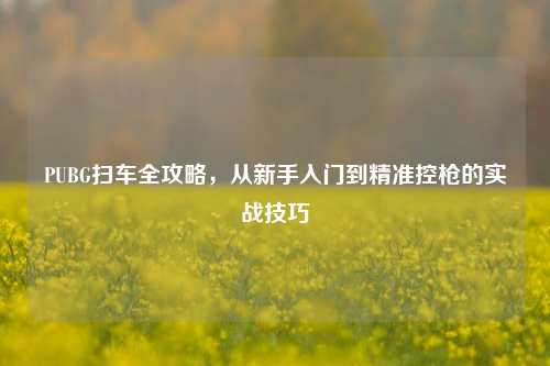 PUBG扫车全攻略,从新手入门到精准控枪的实战技巧