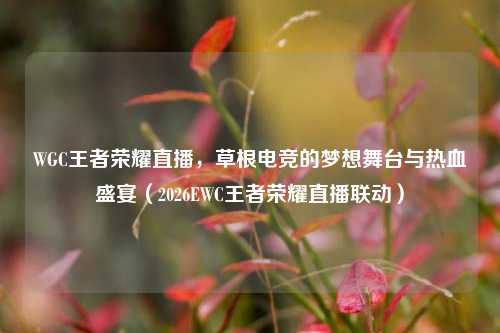 WGC王者荣耀直播，草根电竞的梦想舞台与热血盛宴（2026EWC王者荣耀直播联动）