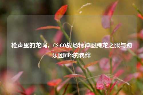 枪声里的龙鸣，CS:GO战场精神图腾龙之眼与劲乐团MP3的羁绊