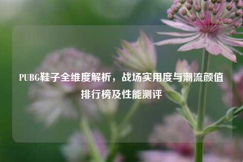PUBG鞋子全维度解析，战场实用度与潮流颜值排行榜及性能测评
