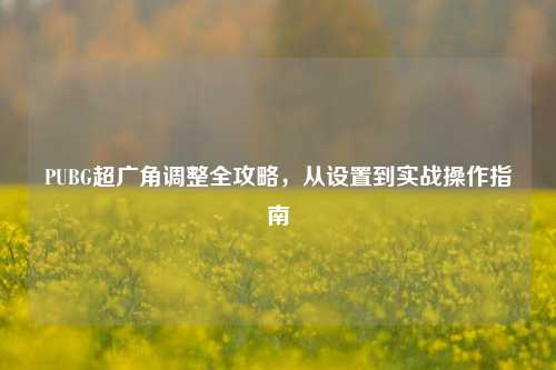 PUBG超广角调整全攻略,从设置到实战操作指南
