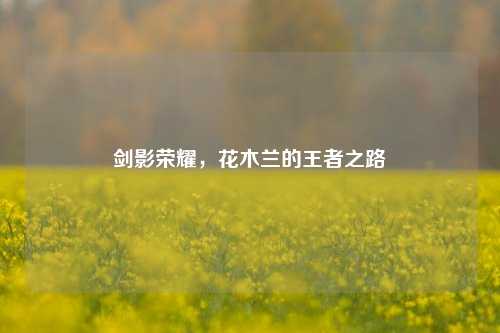 剑影荣耀,花木兰的王者之路