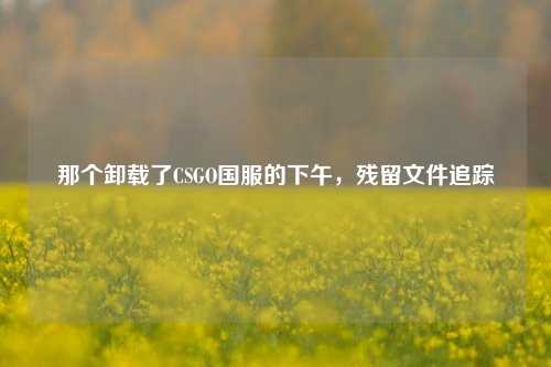那个卸载了CSGO国服的下午，残留文件追踪