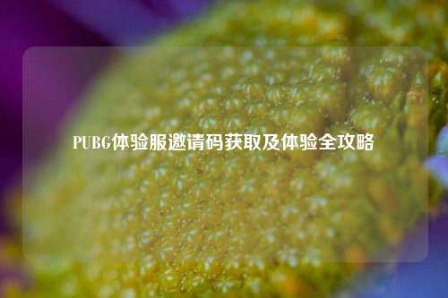 PUBG体验服邀请码获取及体验全攻略