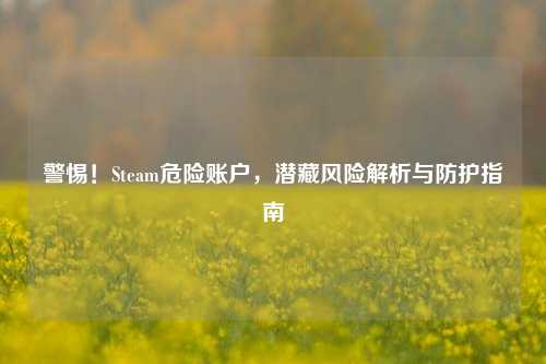 警惕!Steam危险账户,潜藏风险解析与防护指南