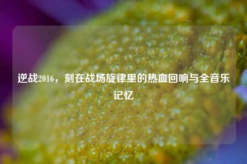 逆战2016，刻在战场旋律里的热血回响与全音乐记忆