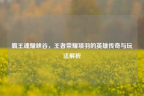 霸王魂耀峡谷，王者荣耀项羽的英雄传奇与玩法解析