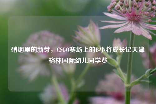 硝烟里的新芽，CSGO赛场上的B小将成长记天津格林国际幼儿园学费
