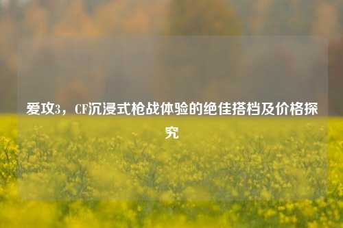 爱攻3,CF沉浸式枪战体验的绝佳搭档及价格探究