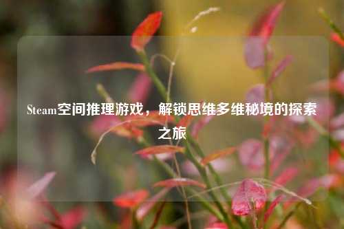 Steam空间推理游戏，解锁思维多维秘境的探索之旅
