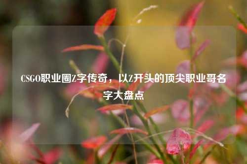 CSGO职业圈Z字传奇，以Z开头的顶尖职业哥名字大盘点