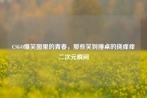 CSGO爆笑图里的青春，那些笑到捶桌的挠痒痒二次元瞬间