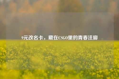 9元改名卡，藏在CSGO里的青春注脚