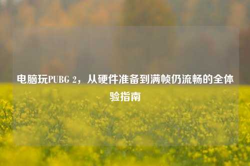 电脑玩PUBG 2,从硬件准备到满帧仍流畅的全体验指南