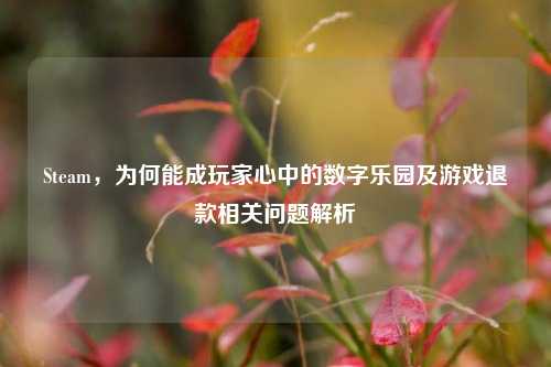 Steam,为何能成玩家心中的数字乐园及游戏退款相关问题解析