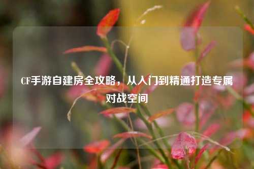 CF手游自建房全攻略，从入门到精通打造专属对战空间