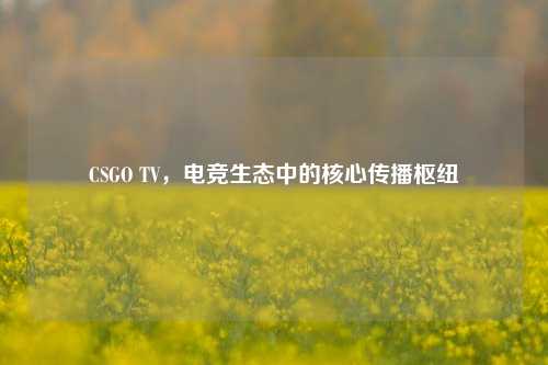 CSGO TV,电竞生态中的核心传播枢纽