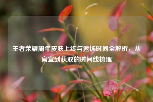 王者荣耀周年皮肤上线与返场时间全解析,从官宣到获取的时间线梳理