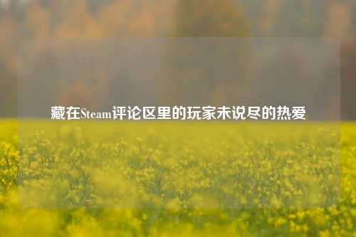 藏在Steam评论区里的玩家未说尽的热爱