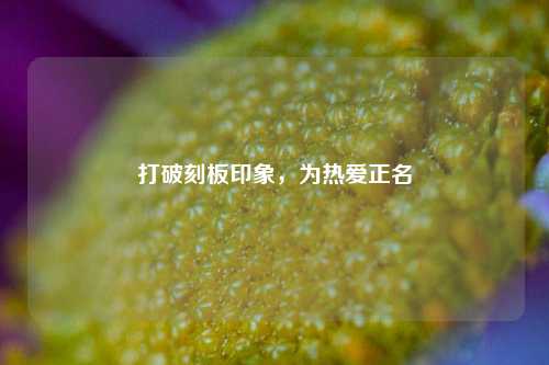 打破刻板印象,为热爱正名