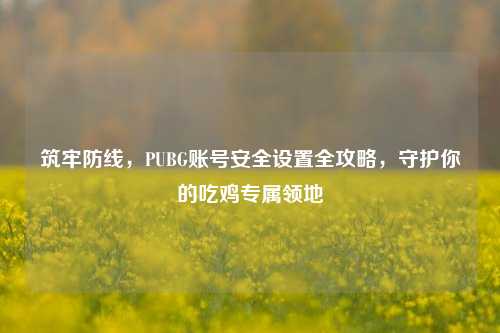 筑牢防线,PUBG账号安全设置全攻略,守护你的吃鸡专属领地