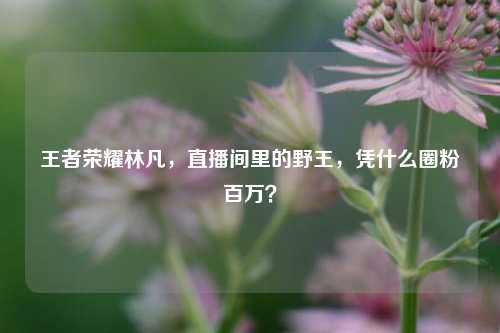 王者荣耀林凡，直播间里的野王，凭什么圈粉百万？