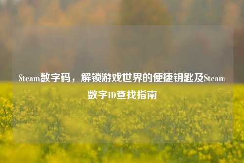 Steam数字码,解锁游戏世界的便捷钥匙及Steam数字ID查找指南