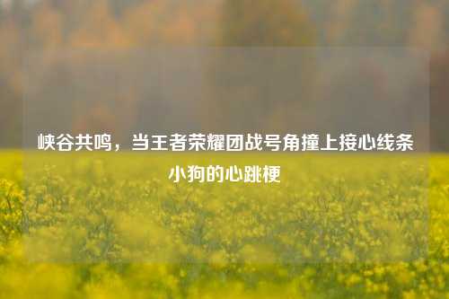 峡谷共鸣,当王者荣耀团战号角撞上接心线条小狗的心跳梗