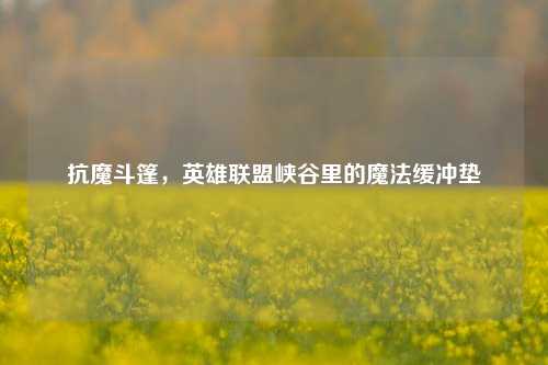 抗魔斗篷,英雄联盟峡谷里的魔法缓冲垫