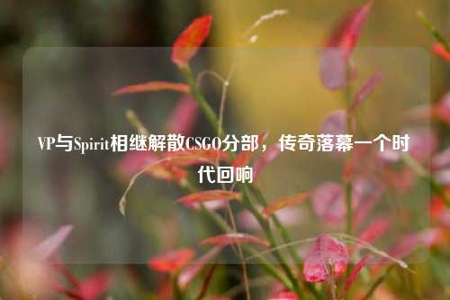VP与Spirit相继解散CSGO分部，传奇落幕一个时代回响