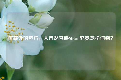 屏幕外的蒸汽,大自然召唤Steam究竟意指何物?