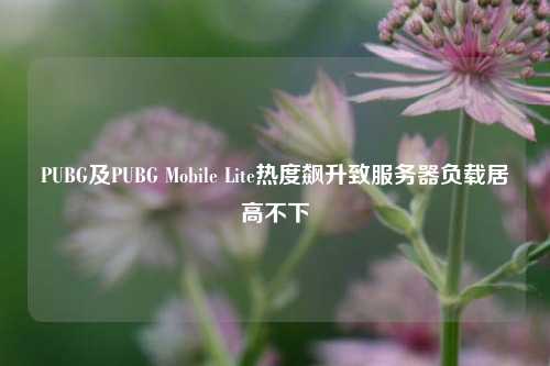 PUBG及PUBG Mobile Lite热度飙升致服务器负载居高不下