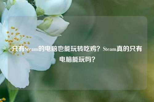 只有Steam的电脑也能玩转吃鸡？Steam真的只有电脑能玩吗？