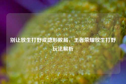 别让放生打野成隐形败局，王者荣耀放生打野玩法解析