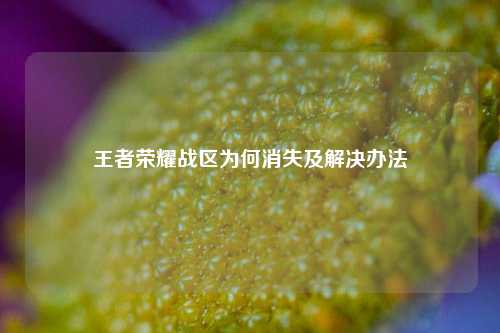 王者荣耀战区为何消失及解决办法